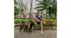 O Lucas é pai de pet ao triplo: Frida (a peludinha), Ziggy (preto grandão) e Caetano (marrom)