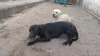 A Rocky e a Shuri não dispensam uma boa dose de diversão! Dá para perceber pela foto, né?