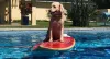 É ai humano bora pegar uma onda