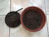 Passo 1: coloque boa parte da terra no recipiente em que a grama de pipoca vai ser plantada e reserve um pouco para cobrir os grãos