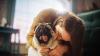 Pug recebendo carinho da dona