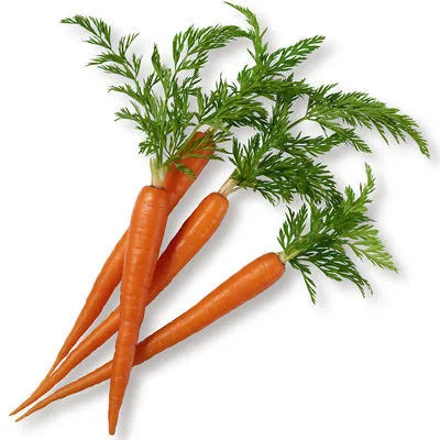 Zanahoria deshidratada.jpg