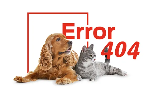 Erro 404 Purina Brand