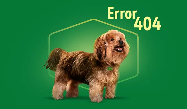Erro 404 Dog Chow
