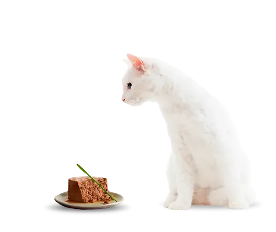 purina-fancy-feast-gato