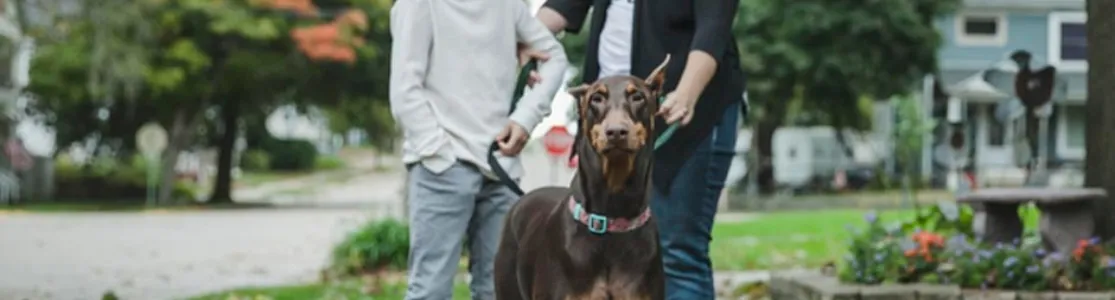  Cachorro de raça grande com sua família. 