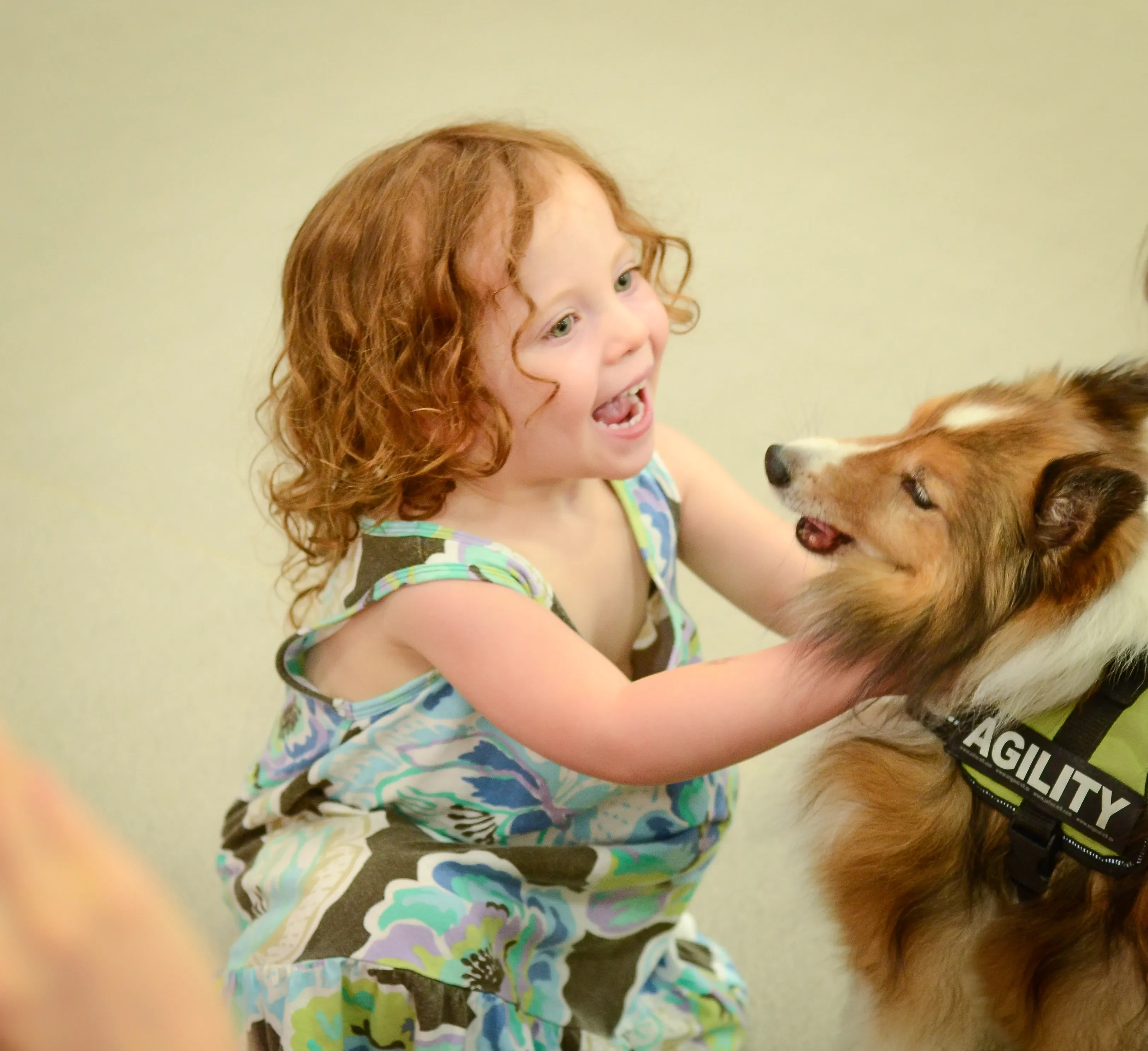 Várias raças de cachorros de porte médio são perfeitas para ficar compartilhar com crianças, como este collie.