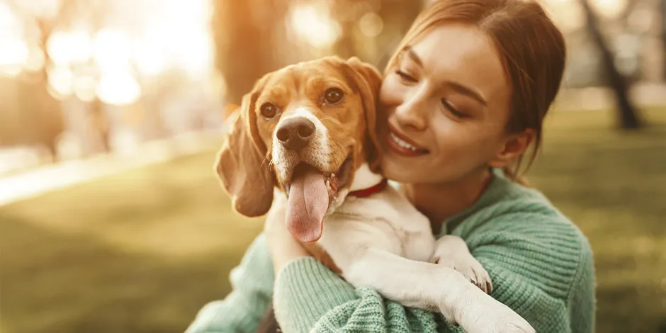 Cuidar das articulações do cão garante seu bem-estar.