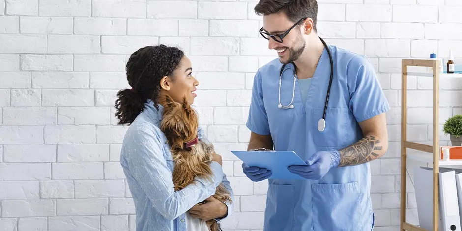 Dona de cão com prisão de ventre consultando o veterinário.