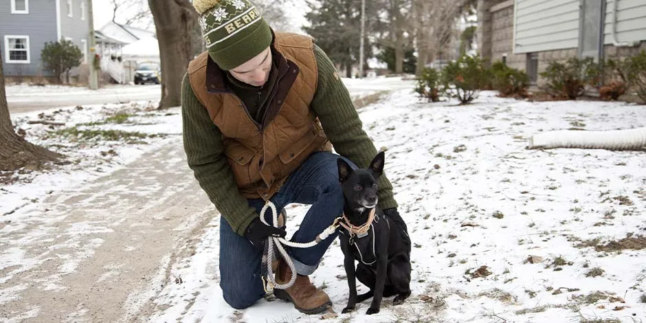 As temperaturas extremas podem causar problemas de pele em cachorros