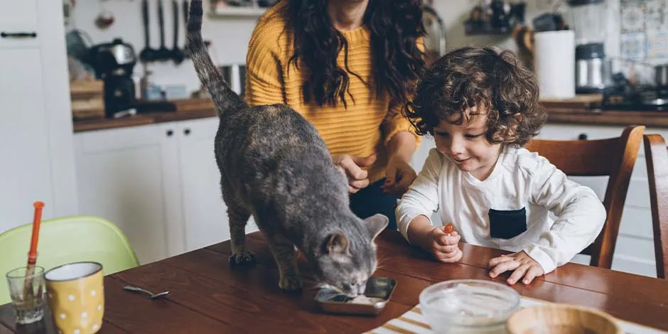 Família compartilhando tempo com seu pet. Sistema digestório do gato.