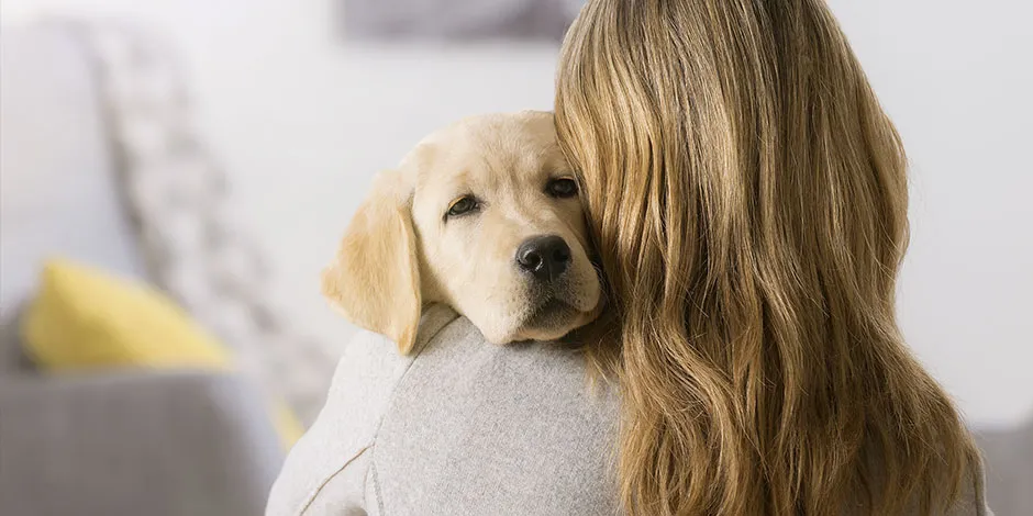 Dona de pet abraçando seu cachorro. A gastroenterite em cachorros é mais comum em filhotes.