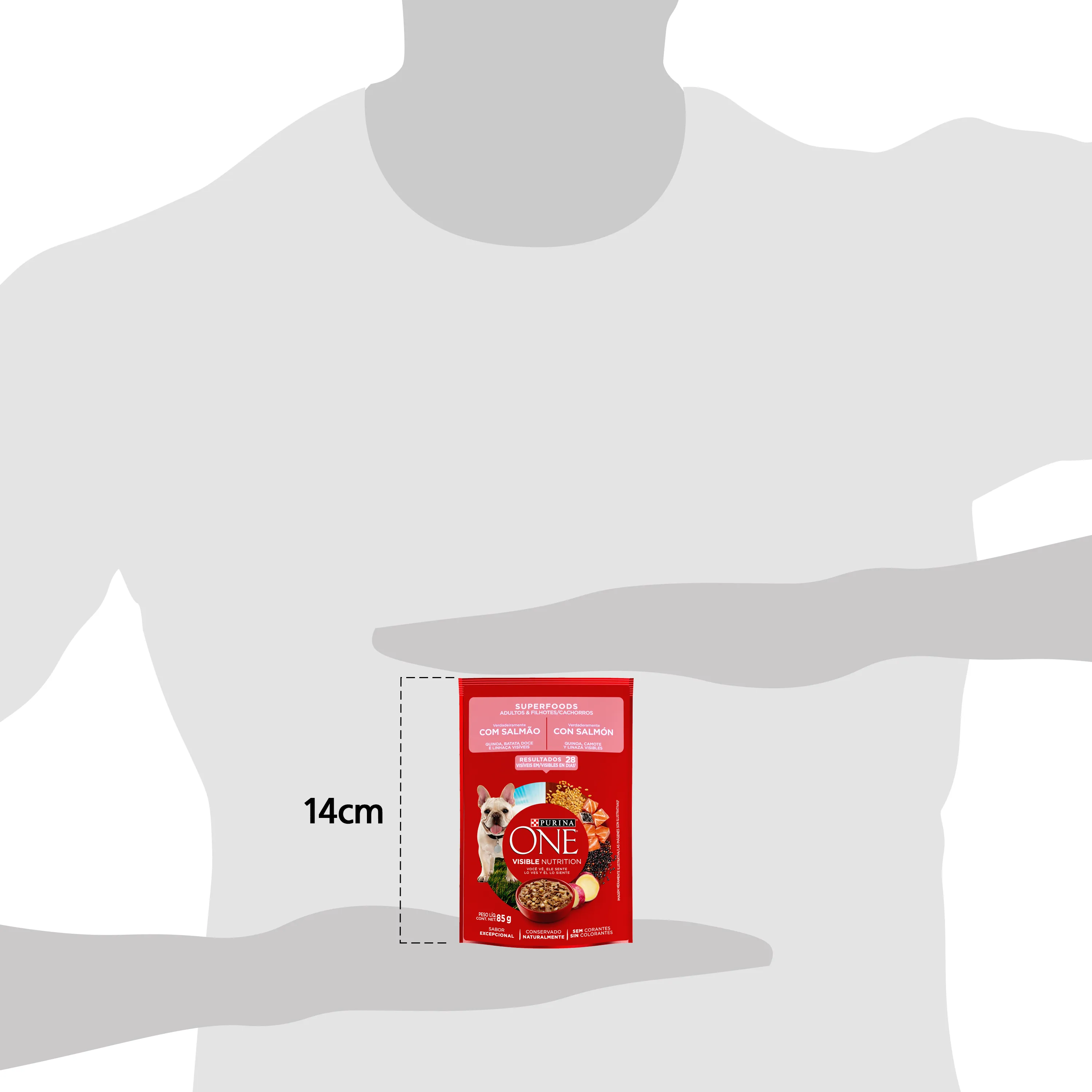 PURINA_ONE_WET_DOG_SUPERFOODS_front