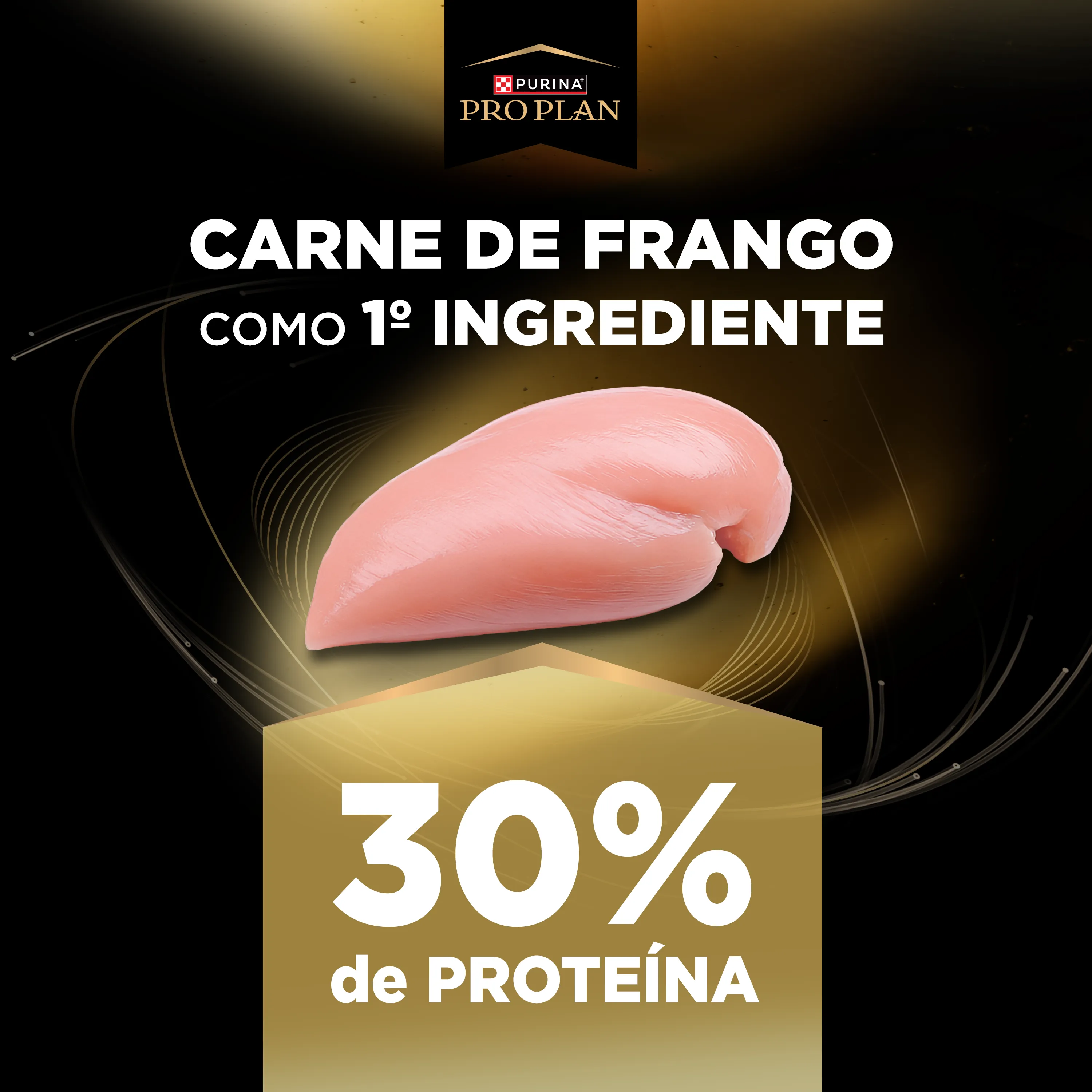 Ração para cães adultos Pro Plan Alta Vitalidade com frango, ração seca premium 3 em 1