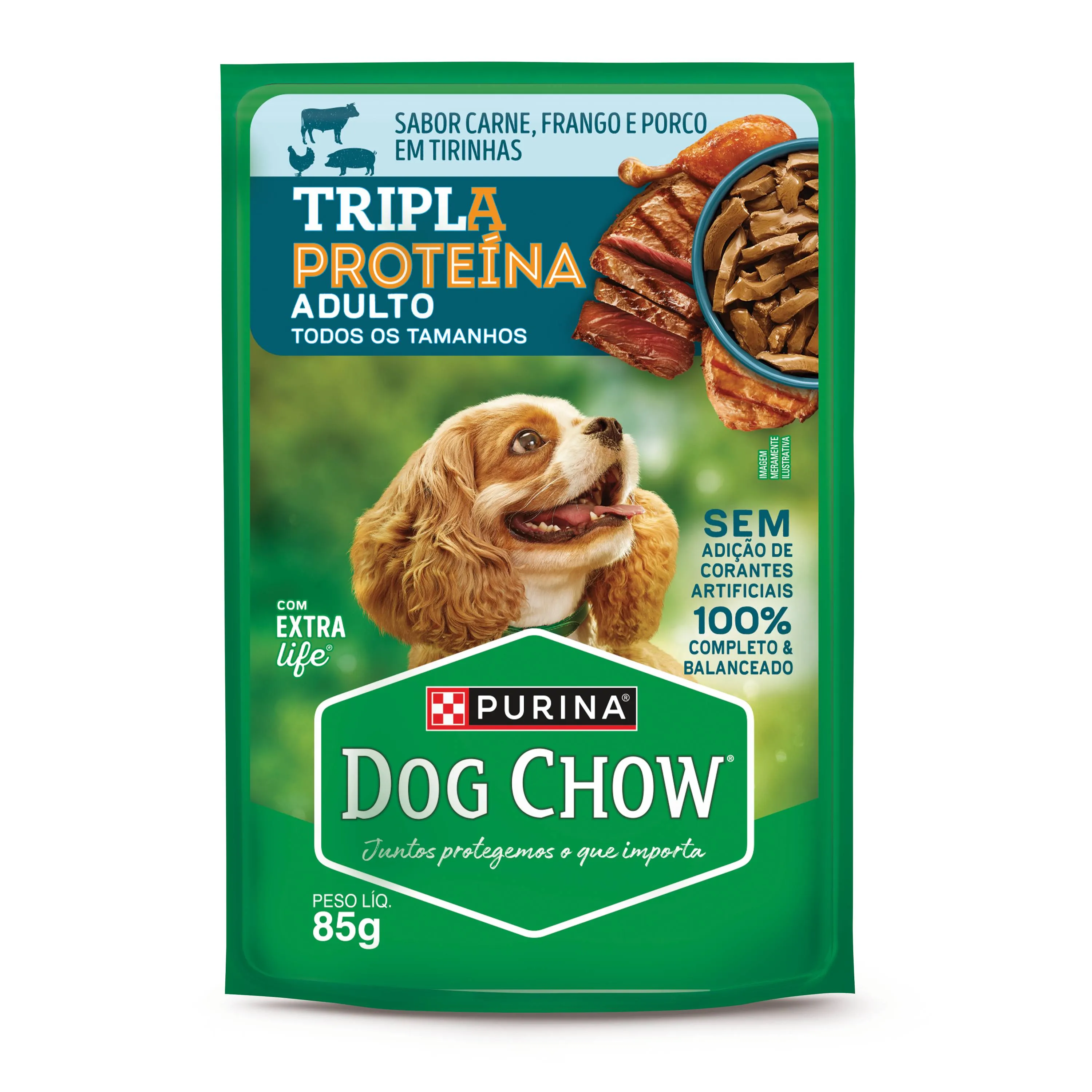 Dog Chow Ração úmida para cães adultos alta proteína carne porco e frango 85g