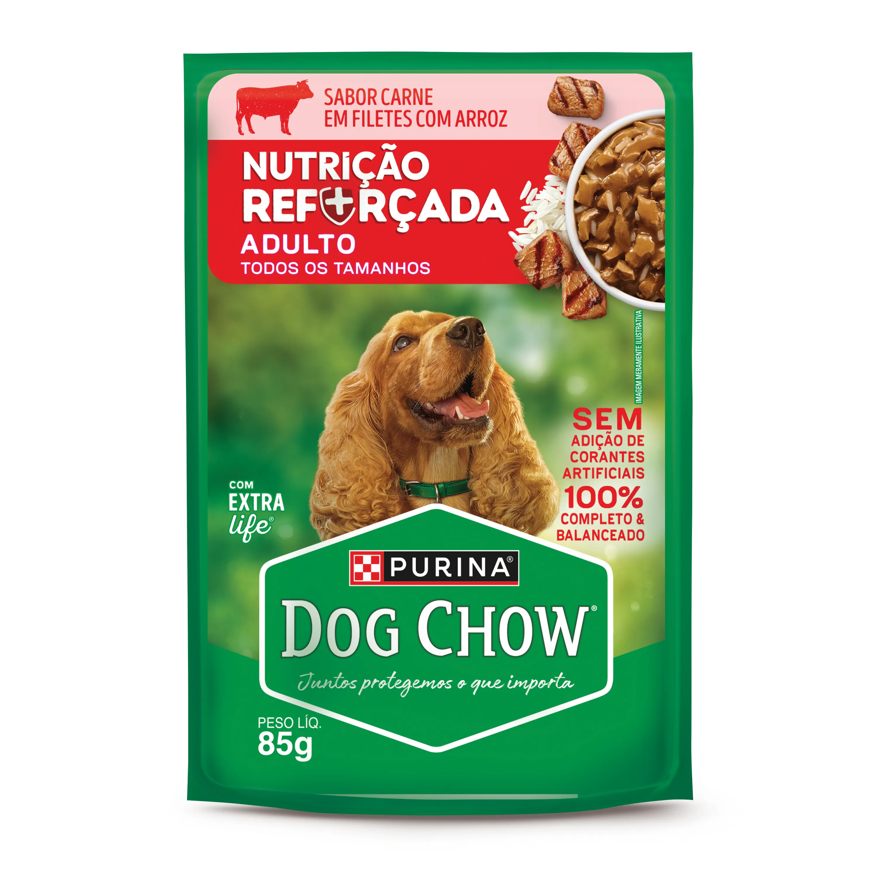 Dog Chow sachê ração úmida para cães adulto sabor carne com arroz 85g