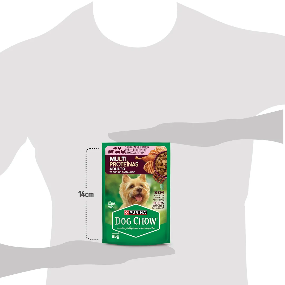 Dog Chow ração úmida para cães multi proteínas carne frango porco peru peixe 85g