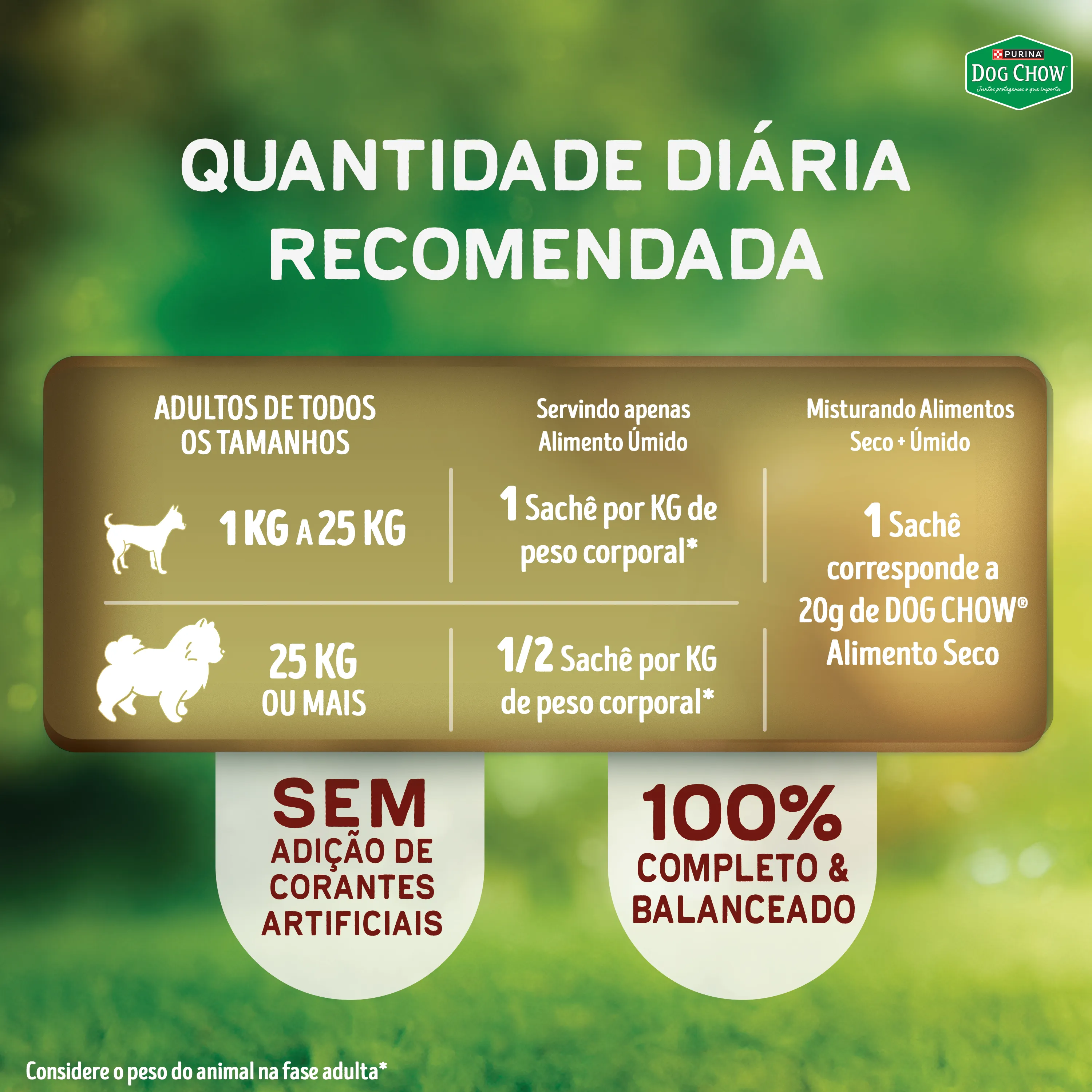 Dog Chow sachê ração úmida para cães adulto sabor cordeiro com arroz 85g