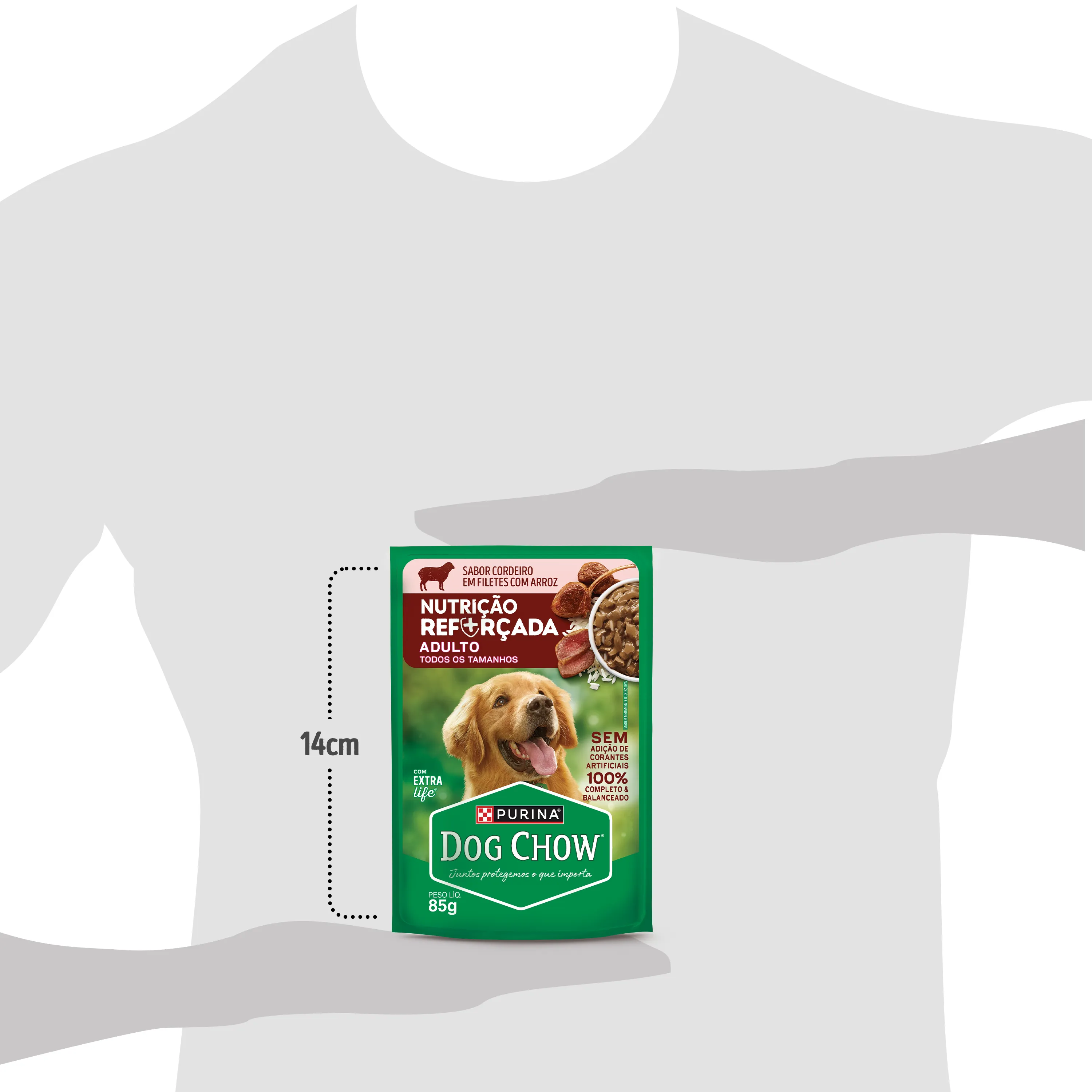 Dog Chow sachê ração úmida para cães adulto sabor cordeiro com arroz 85g