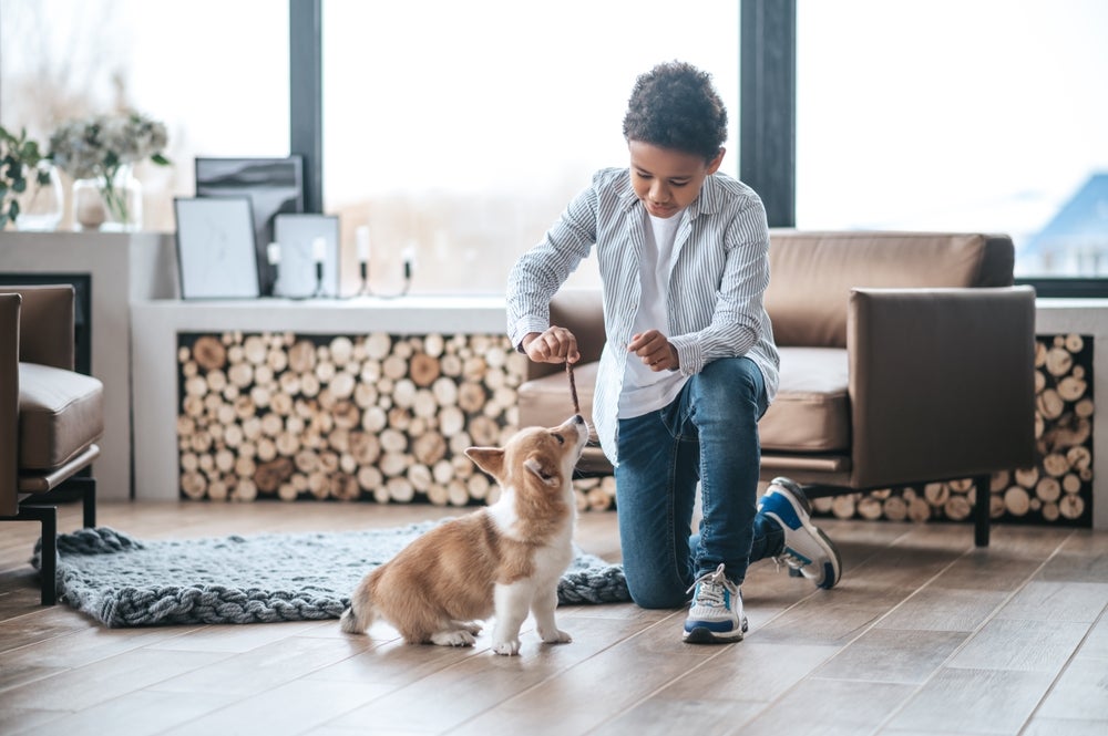 Os truques para cachorro vão ensinar o filhote a lidar com diferentes situações